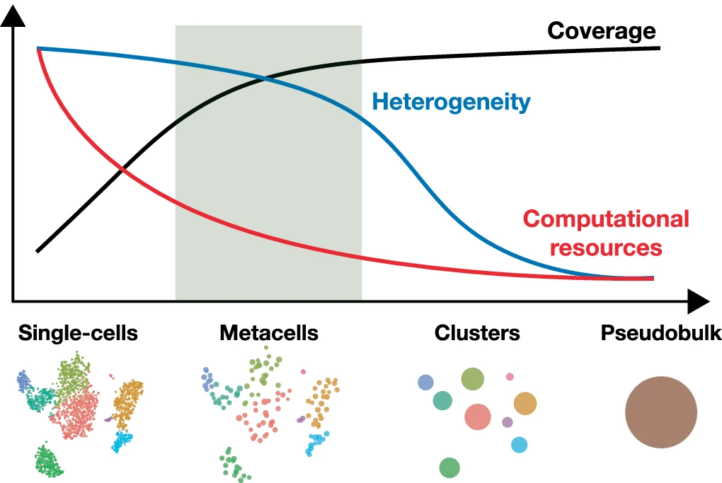 Metacells increase profile coverage and save computational resources, while preserving biologically relevant heterogeneity in single-cell genomics data.