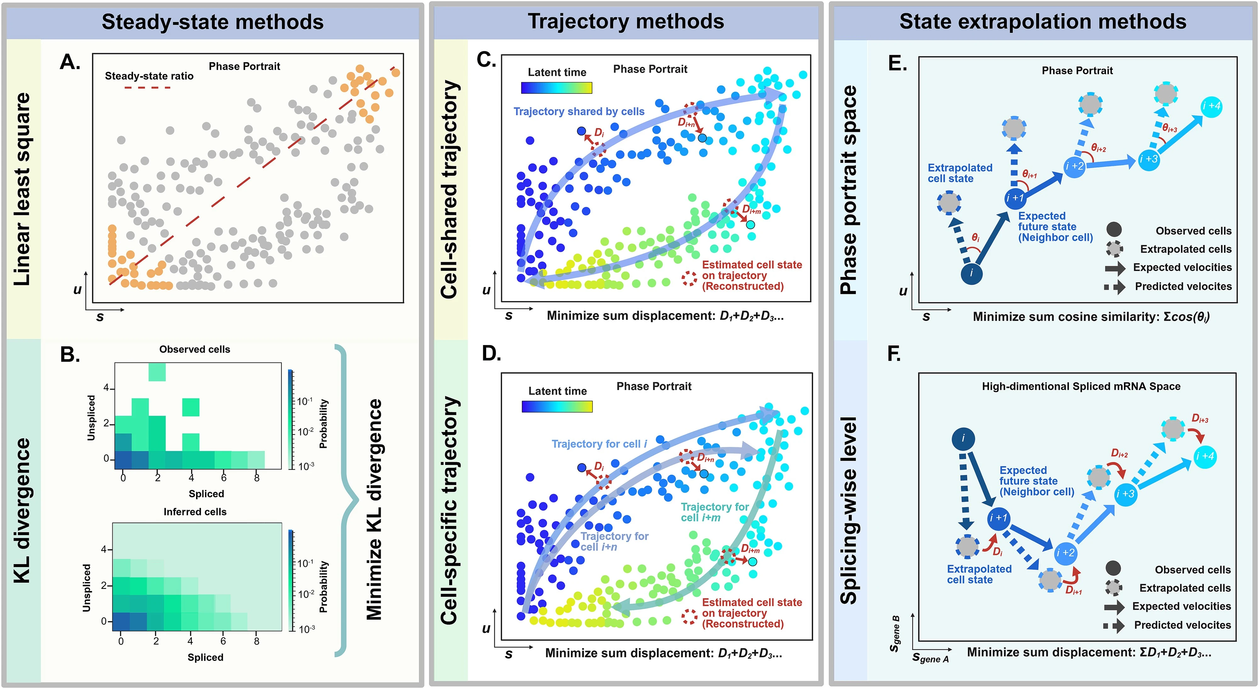 RNA velocity methods are categorized into three classes based on their paradigms in learning transcriptional dynamics. (A, B) Steady-state methods, include linear regression based on the steady-state ratio and inference based on minimizing Kullback–Leibler (KL) divergence between observed and predicted distributions. (C, D) Trajectory-based methods, where either cell-shared or cell-specific latent trajectories are used to reconstruct cellular dynamics by minimizing the sum of displacements between observed and estimated states. (E, F) State extrapolation methods, which infer future states by minimizing cosine similarity or distance in phase portrait space or high-dimensional gene space.